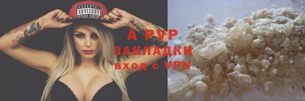 стаф Вяземский