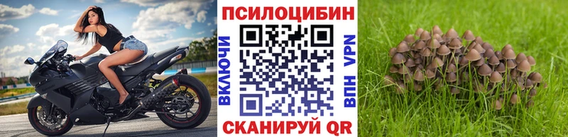 Псилоцибиновые грибы мицелий  Каменск-Уральский 
