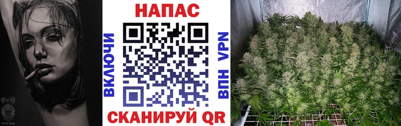хочу наркоту  Каменск-Уральский  Марихуана ГИДРОПОН 